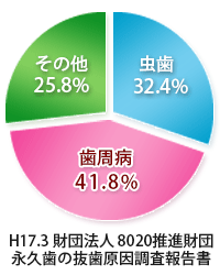 H17.3 財団法人 8020推進財団 永久歯の抜歯原因調査報告書