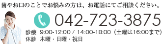 電話番号:042-723-3875